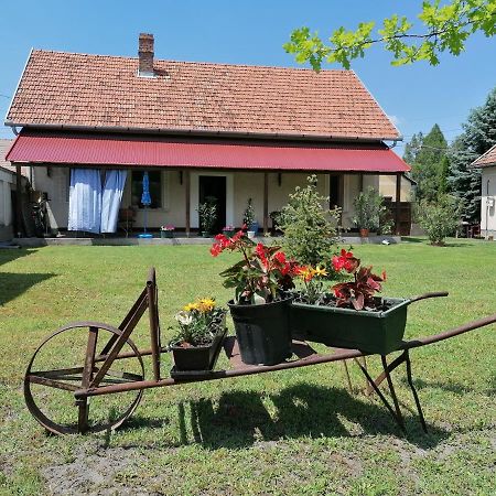 István Vendégház Mórahalom Exterior foto